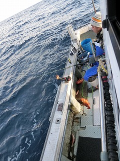 第二清洋丸 釣果