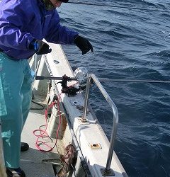 第二清洋丸 釣果