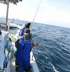 第二清洋丸 釣果