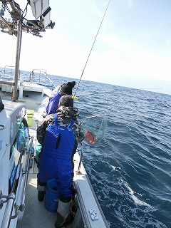 第二清洋丸 釣果