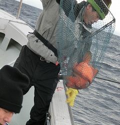 第二清洋丸 釣果