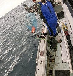 第二清洋丸 釣果