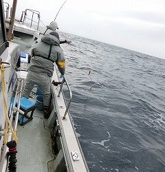 第二清洋丸 釣果