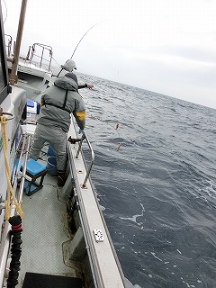 第二清洋丸 釣果