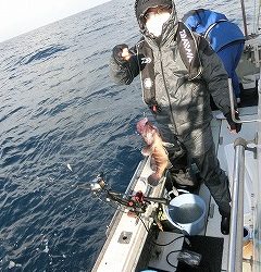 第二清洋丸 釣果