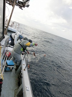 第二清洋丸 釣果