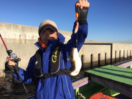 えさ政釣船店 釣果