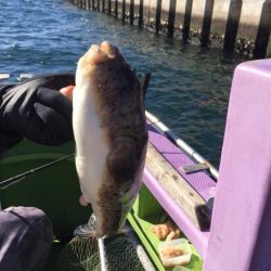 えさ政釣船店 釣果