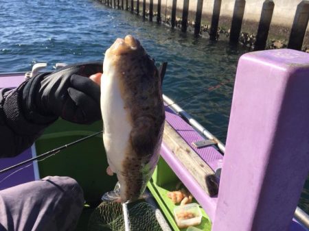 えさ政釣船店 釣果