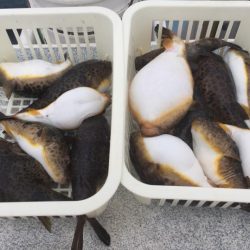 えさ政釣船店 釣果