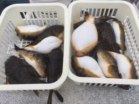 えさ政釣船店 釣果