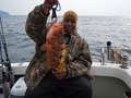 釣船　キティ 釣果