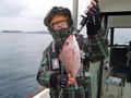 釣船　キティ 釣果