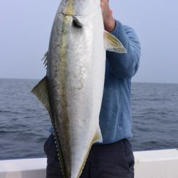 ジギング船 BLUEWATER 釣果