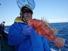 増福丸 釣果