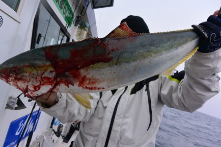 ジギング船 BLUEWATER 釣果