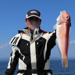 へいみつ丸 釣果