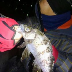 プラグはきつい・・・