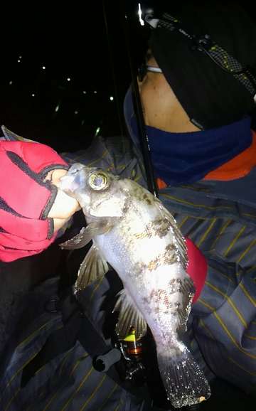 プラグはきつい・・・