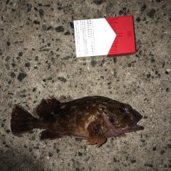 小雨の中イソメでぶっ込み釣り