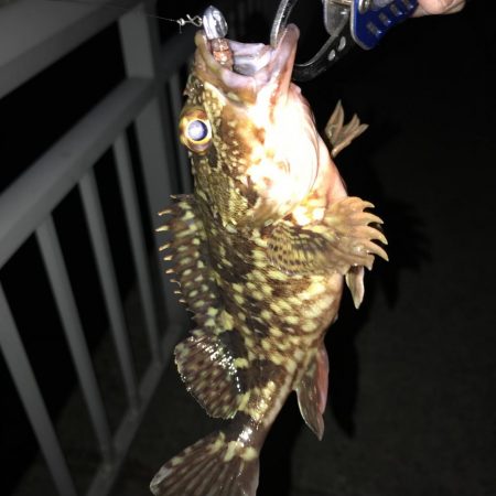 ロックフィッシング