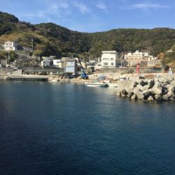 アジ探しに有田へ