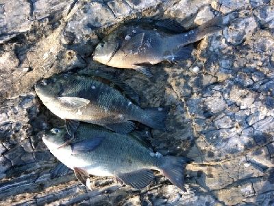 爆風でスランプ！