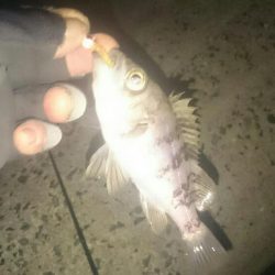 干潮❗だけど❗