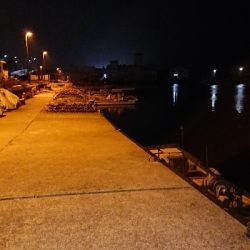 今宵もプラッキング