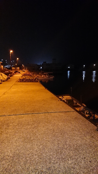 今宵もプラッキング