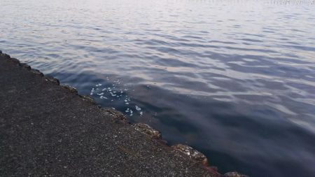 前回以上に釣りたい！