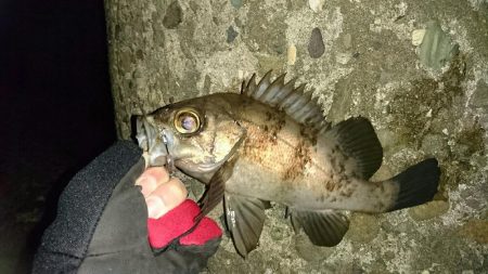 久しぶりの釣行く