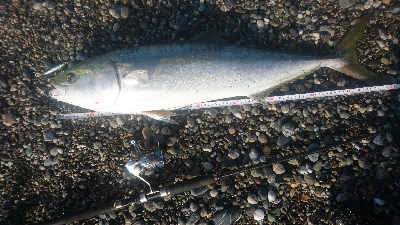 桂浜１番サーフ