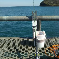 クーラー満タン