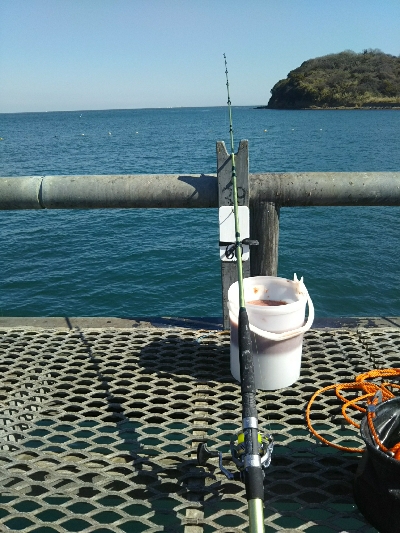 クーラー満タン