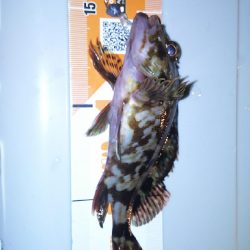 久しぶりのコンディション