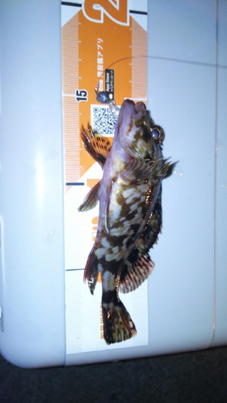 久しぶりのコンディション