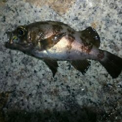 フロートにて。