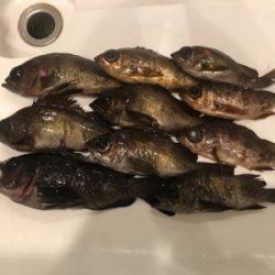 月明かりに勝てた