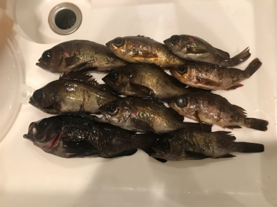 月明かりに勝てた