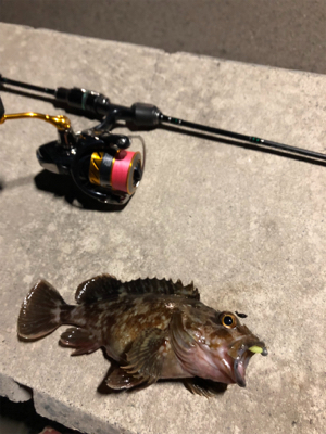 極寒ロックフィッシング