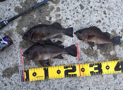 ちょっとシブい…