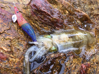 濁りのなかで…