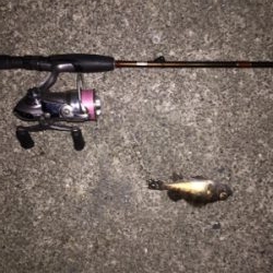 寒波のせいか？