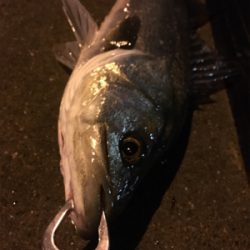 アメニモマケズ