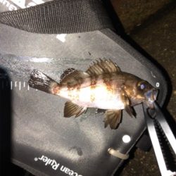 霧の中メバリング