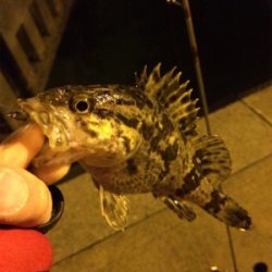 タフコンでお手上げ