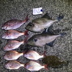 一つテンヤマダイ