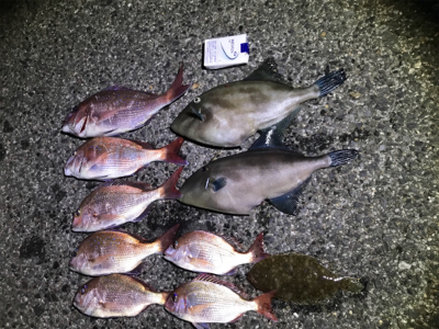 一つテンヤマダイ