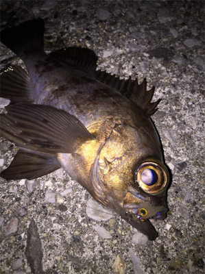 アフターメバル